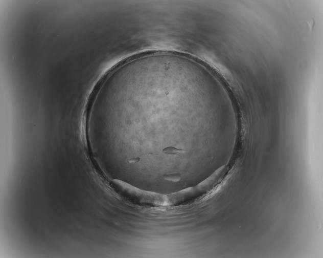 X0000093731272200710161110