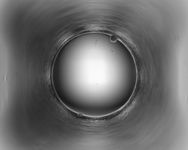 X0000093731273200710161110