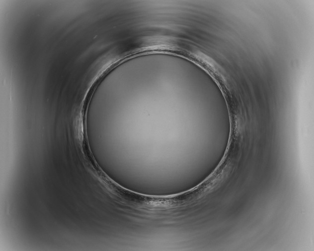X0000093731274200710161110
