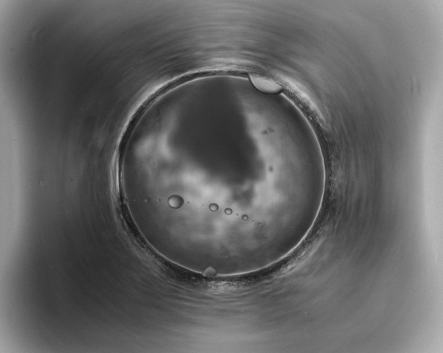 X0000093731275200710161110