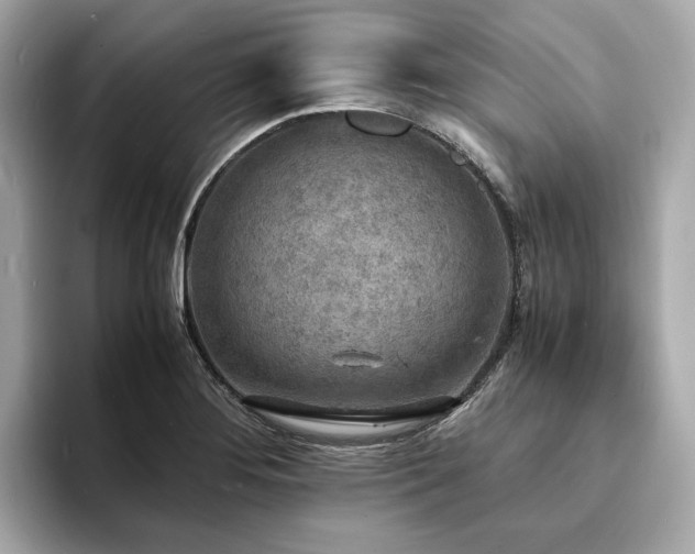 X0000093731276200710161110