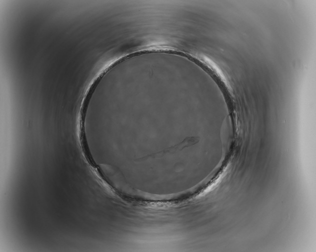 X0000093731277200710161110