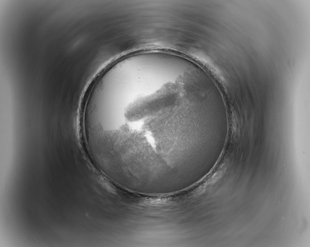 X0000093731278200710161110