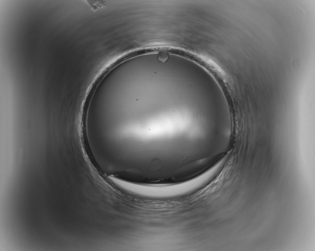 X0000093731279200710161110