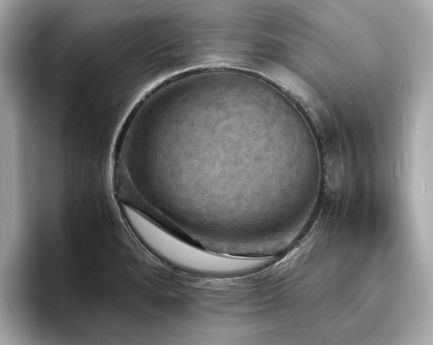X0000093731280200710161110