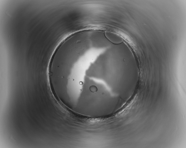 X0000093731283200710161110