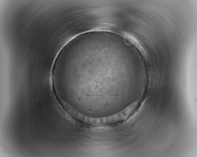 X0000093731284200710161110