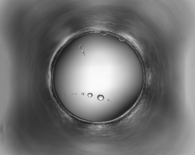 X0000093731286200710161110