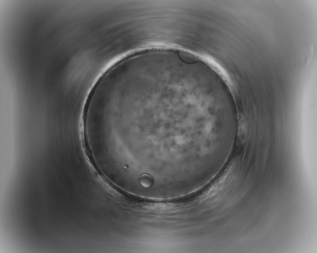X0000093731287200710161110