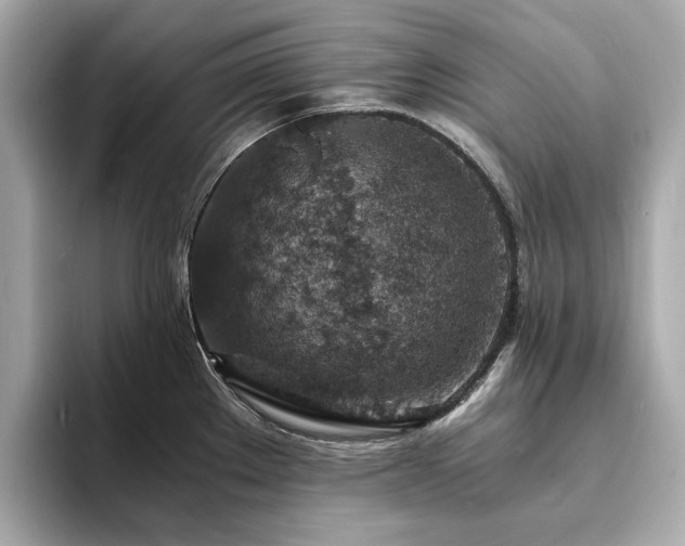 X0000093731289200710161110
