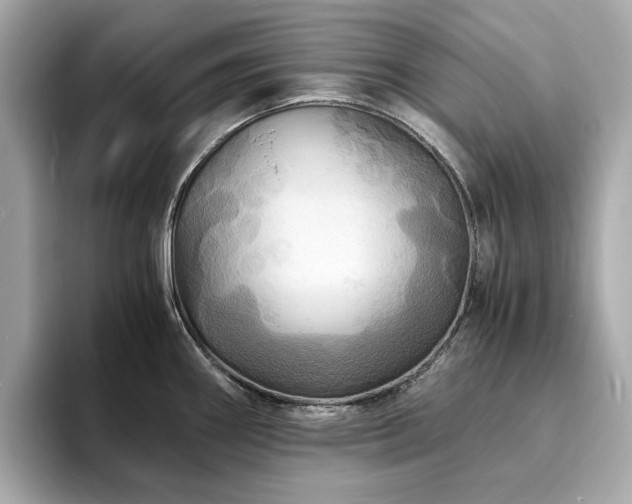 X0000093731290200710161110