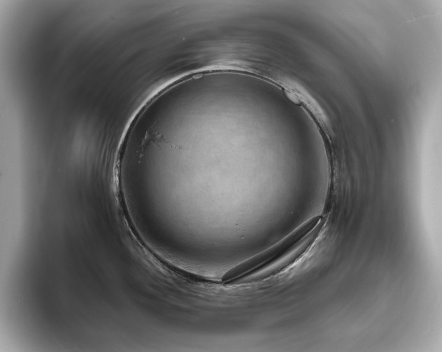 X0000093731292200710161110