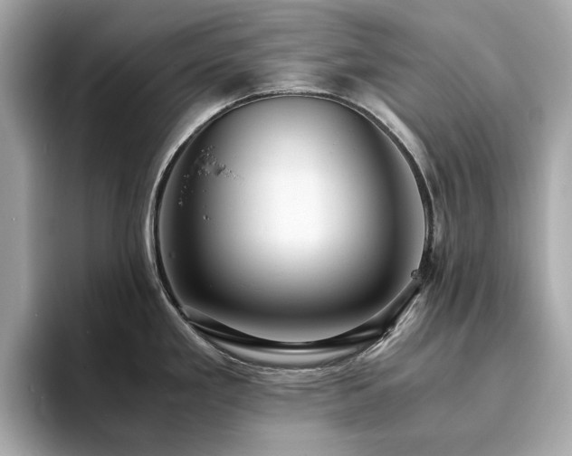 X0000093731293200710161110