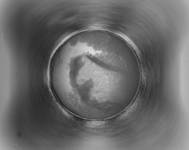 X0000093731294200710161110