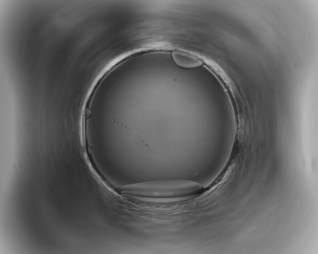 X0000093731295200710161110