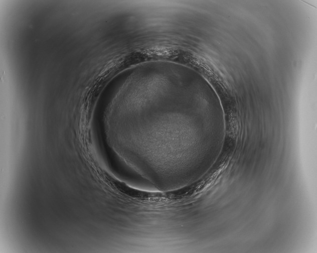 X0000093731297200710161109