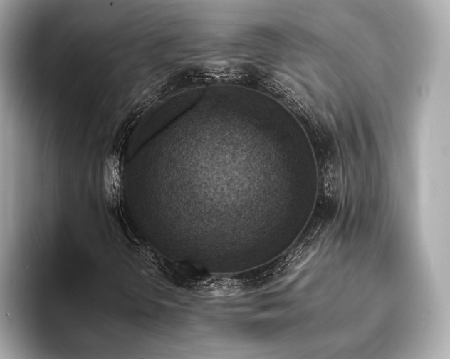 X0000093731298200710161109