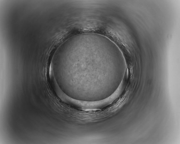 X0000093731300200710161109