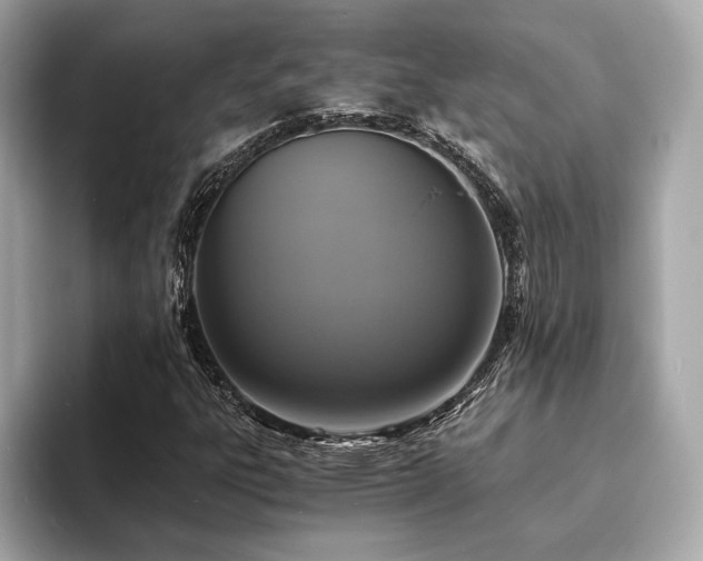 X0000093731303200710161109
