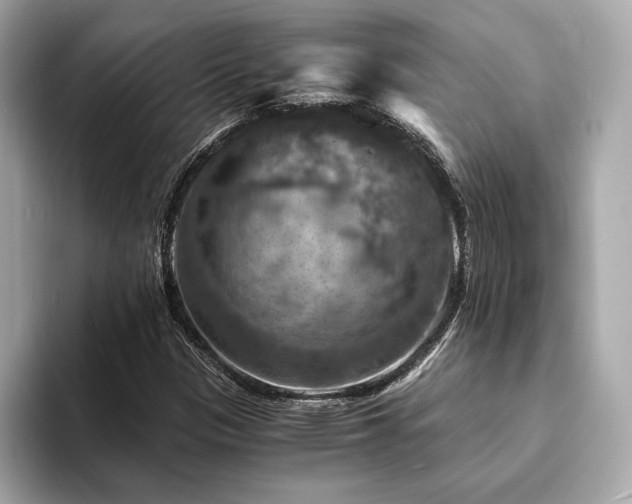 X0000093731305200710161109