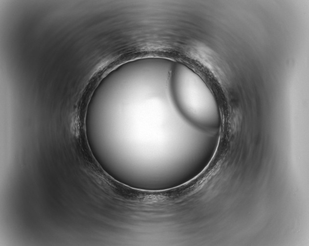 X0000093731306200710161109