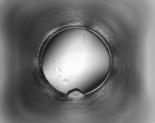 X0000093731308200710161109