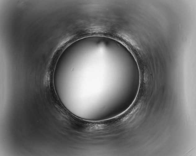 X0000093731309200710161109