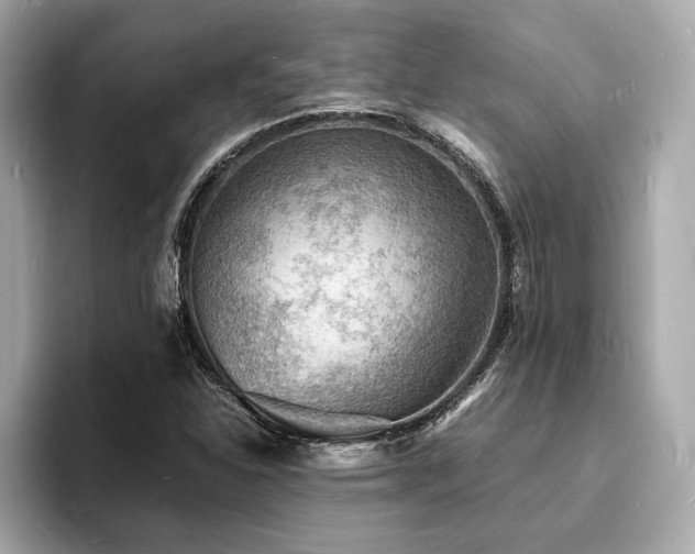 X0000093731310200710161109