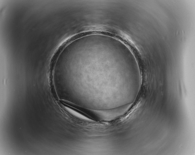 X0000093731312200710161109