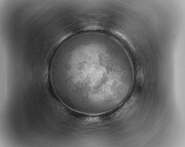X0000093731313200710161109