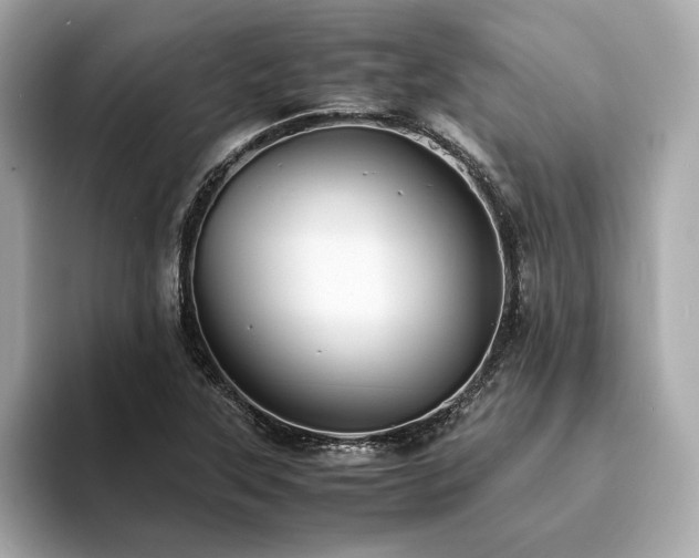 X0000093731315200710161109