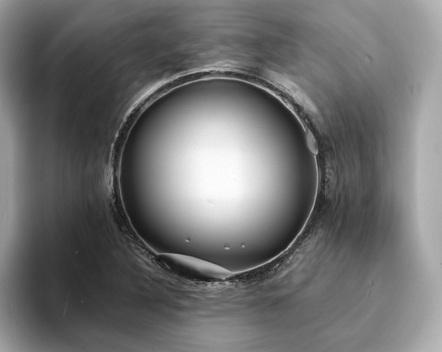 X0000093731316200710161109