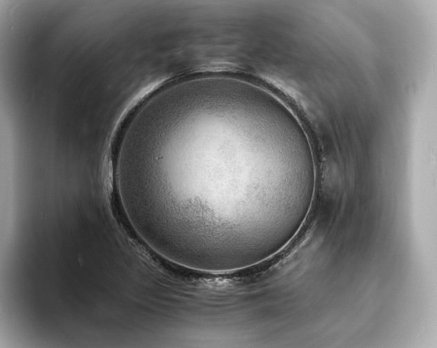 X0000093731317200710161109