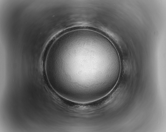 X0000093731318200710161109