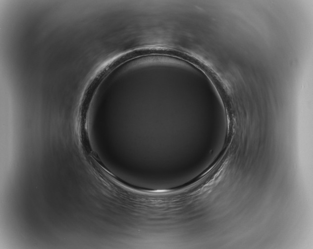 X0000093731319200710161109