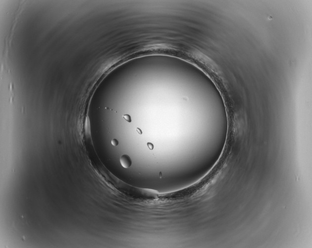 X0000093731321200710161109