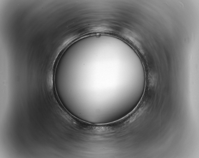 X0000093731322200710161109