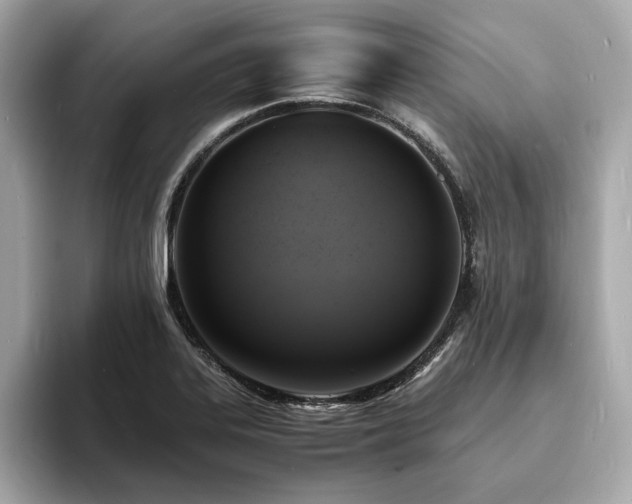 X0000093731323200710161109