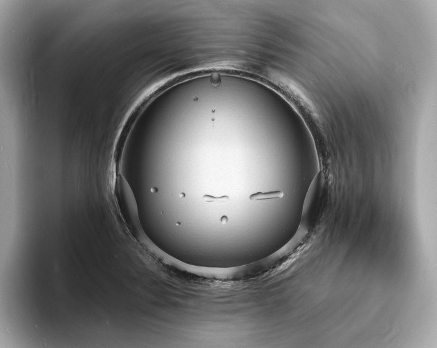 X0000093731324200710161109