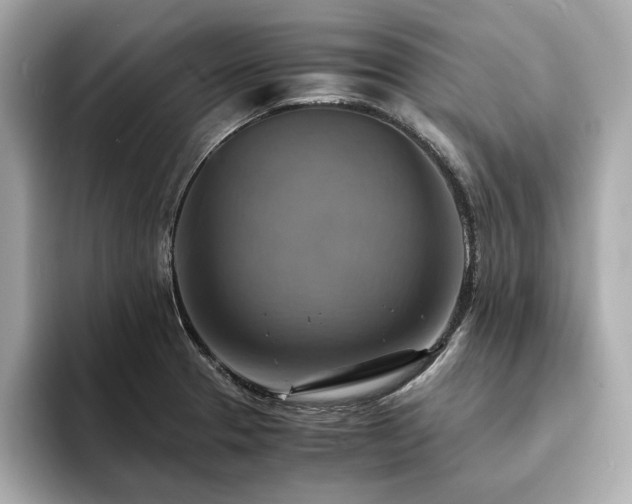 X0000093731329200710161109