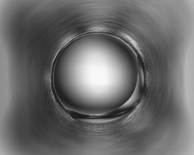 X0000093731330200710161109