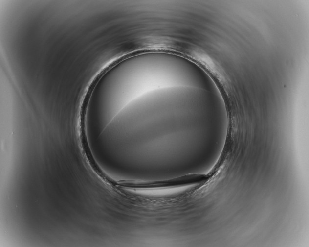 X0000093731331200710161109