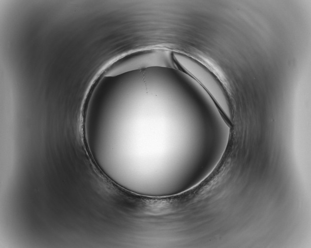 X0000093731332200710161109