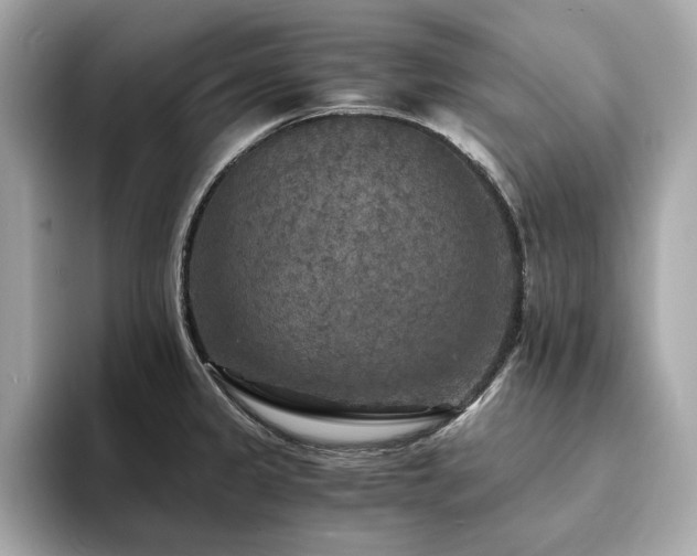 X0000093731333200710161109