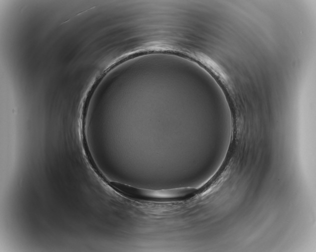 X0000093731334200710161109