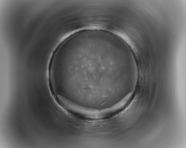 X0000093731335200710161109