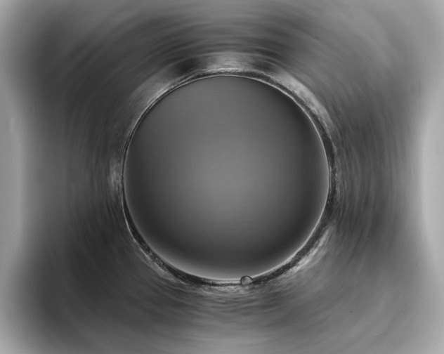 X0000093731337200710161109