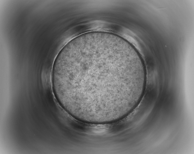 X0000093731338200710161109