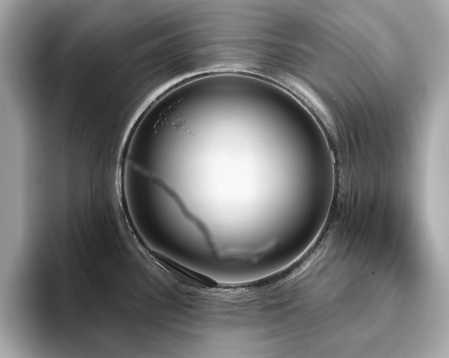X0000093731340200710161110