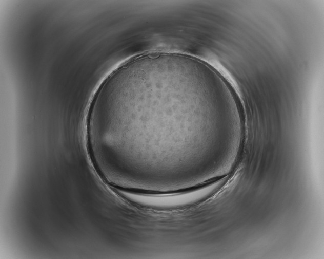 X0000093731341200710161110